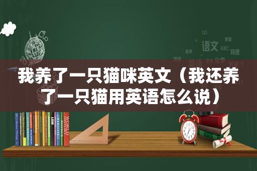 我养了一只猫咪英文（我还养了一只猫用英语怎么说）