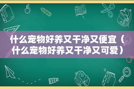 什么宠物好养又干净又便宜（什么宠物好养又干净又可爱）