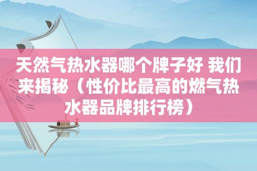 天然气热水器哪个牌子好 我们来揭秘（性价比最高的燃气热水器品牌排行榜）