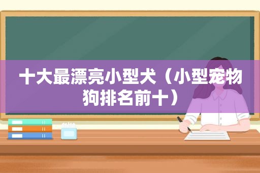 十大最漂亮小型犬（小型宠物狗排名前十）