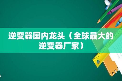 逆变器国内龙头（全球最大的逆变器厂家）