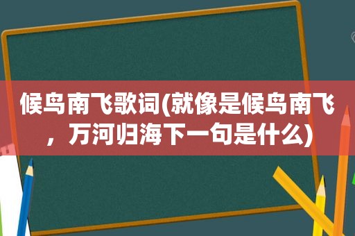 候鸟南飞歌词(就像是候鸟南飞，万河归海下一句是什么)