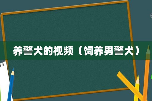 养警犬的视频（饲养男警犬）