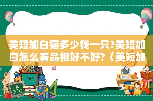 美短加白猫多少钱一只?美短加白怎么看品相好不好?（美短加白猫多少钱一只）