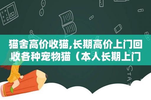 猫舍高价收猫,长期高价上门回收各种宠物猫（本人长期上门回收宠物猫怎么办）