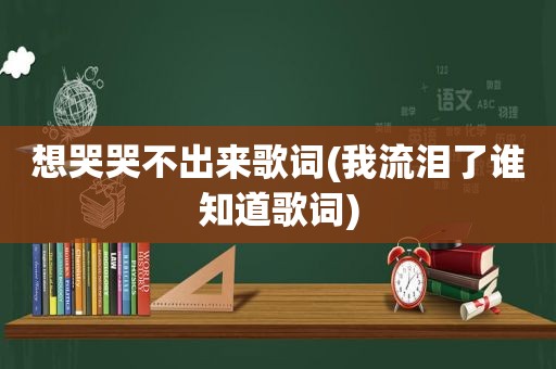 想哭哭不出来歌词(我流泪了谁知道歌词)