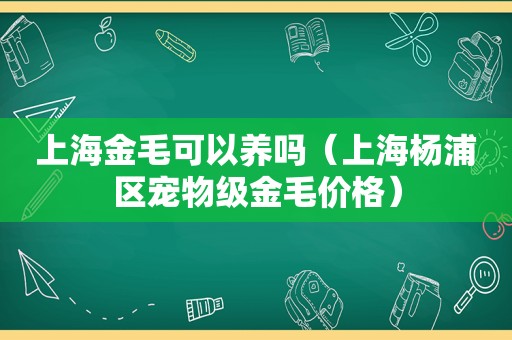 上海金毛可以养吗（上海杨浦区宠物级金毛价格）