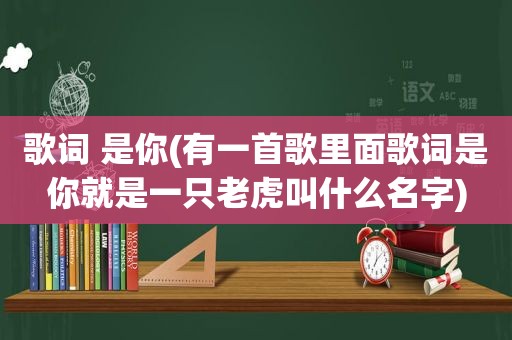 歌词 是你(有一首歌里面歌词是你就是一只老虎叫什么名字)