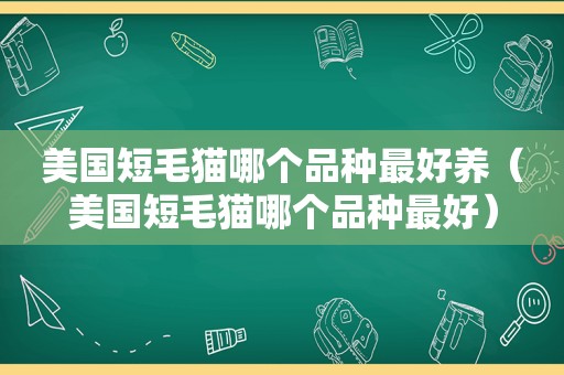 美国短毛猫哪个品种最好养（美国短毛猫哪个品种最好）