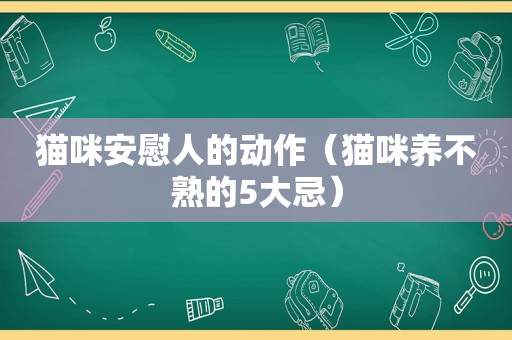 猫咪安慰人的动作（猫咪养不熟的5大忌）