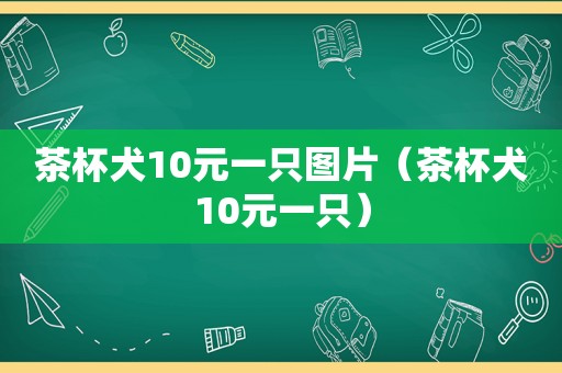 茶杯犬10元一只图片（茶杯犬10元一只）