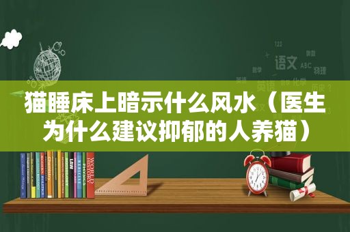 猫睡床上暗示什么风水（医生为什么建议抑郁的人养猫）