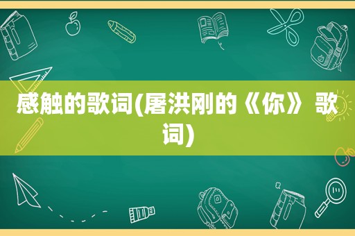 感触的歌词(屠洪刚的《你》 歌词)