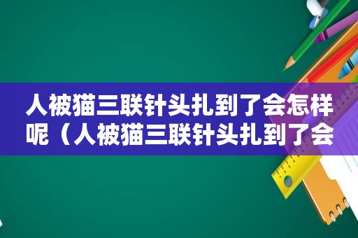 人被猫三联针头扎到了会怎样呢（人被猫三联针头扎到了会怎样）