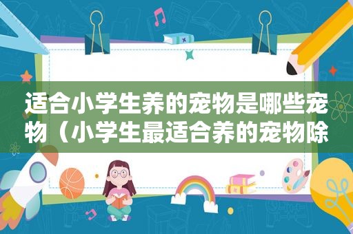 适合小学生养的宠物是哪些宠物（小学生最适合养的宠物除了猫狗）