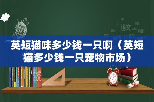 英短猫咪多少钱一只啊（英短猫多少钱一只宠物市场）