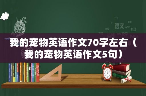 我的宠物英语作文70字左右（我的宠物英语作文5句）