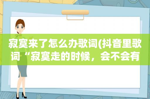 寂寞来了怎么办歌词(抖音里歌词“寂寞走的时候，会不会有人陪着我，我难过的时候…”是什么歌名)