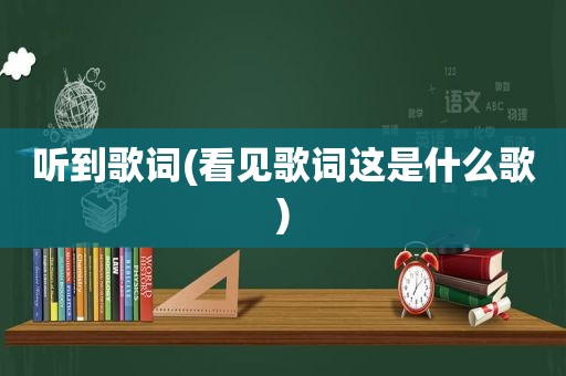 听到歌词(看见歌词这是什么歌)