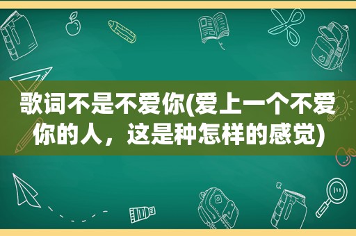 歌词不是不爱你(爱上一个不爱你的人，这是种怎样的感觉)