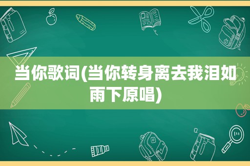 当你歌词(当你转身离去我泪如雨下原唱)