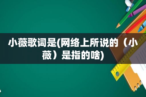 小薇歌词是(网络上所说的（小薇）是指的啥)