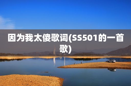 因为我太傻歌词(SS501的一首歌)