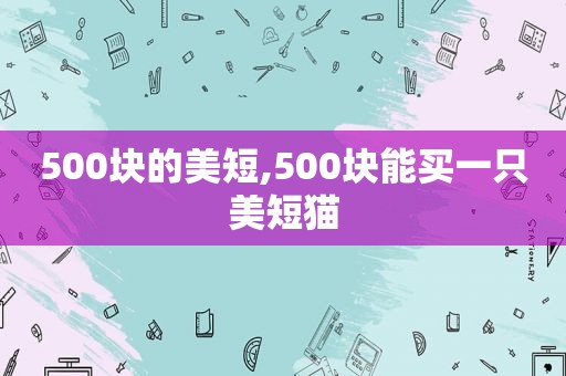 500块的美短,500块能买一只美短猫