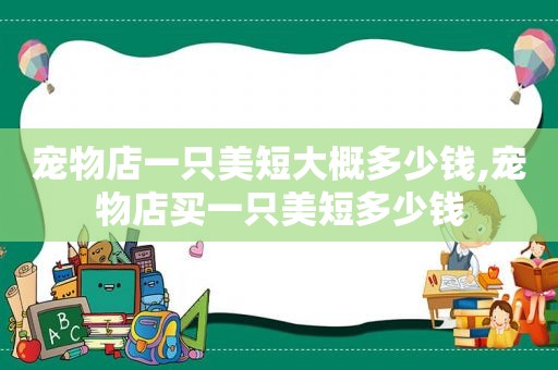 宠物店一只美短大概多少钱,宠物店买一只美短多少钱