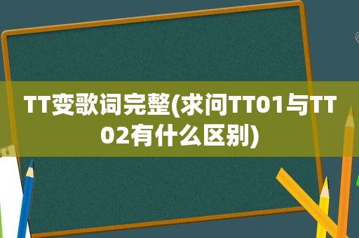 TT变歌词完整(求问TT01与TT02有什么区别)