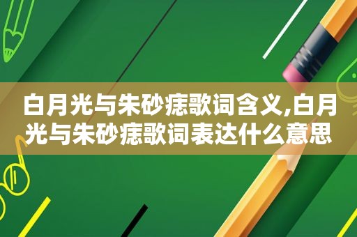 白月光与朱砂痣歌词含义,白月光与朱砂痣歌词表达什么意思