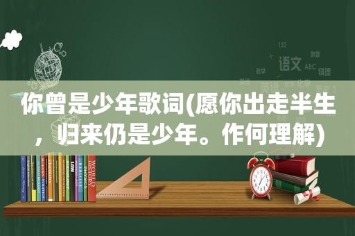 你曾是少年歌词(愿你出走半生，归来仍是少年。作何理解)