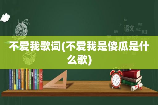 不爱我歌词(不爱我是傻瓜是什么歌)