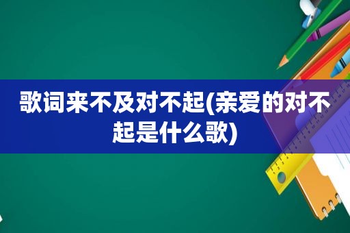 歌词来不及对不起(亲爱的对不起是什么歌)