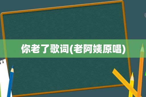 你老了歌词(老阿姨原唱)