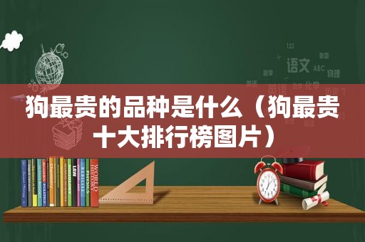 狗最贵的品种是什么（狗最贵十大排行榜图片）