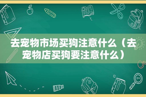 去宠物市场买狗注意什么（去宠物店买狗要注意什么）