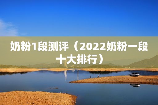 奶粉1段测评（2022奶粉一段十大排行）