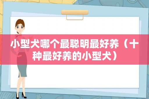 小型犬哪个最聪明最好养（十种最好养的小型犬）