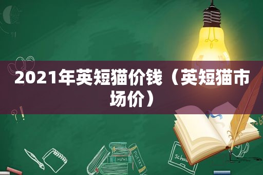 2021年英短猫价钱（英短猫市场价）