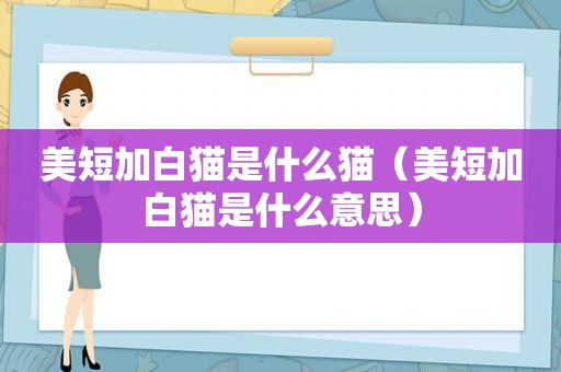 美短加白猫是什么猫（美短加白猫是什么意思）