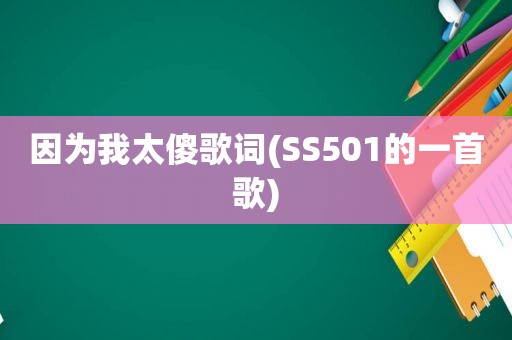 因为我太傻歌词(SS501的一首歌)