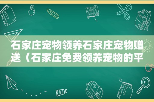 石家庄宠物领养石家庄宠物赠送（石家庄免费领养宠物的平台）