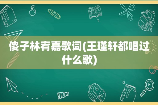 傻子林宥嘉歌词(王瑾轩都唱过什么歌)