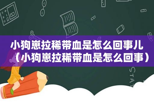 小狗崽拉稀带血是怎么回事儿（小狗崽拉稀带血是怎么回事）