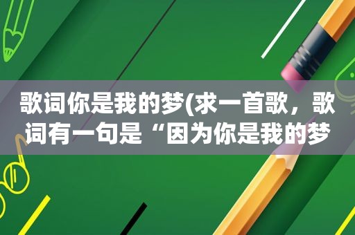 歌词你是我的梦(求一首歌，歌词有一句是“因为你是我的梦”)