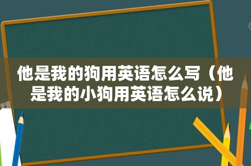 他是我的狗用英语怎么写（他是我的小狗用英语怎么说）