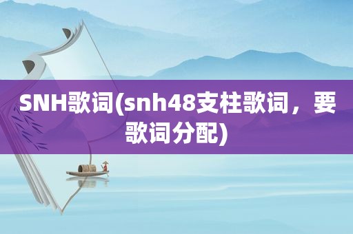 SNH歌词(snh48支柱歌词，要歌词分配)