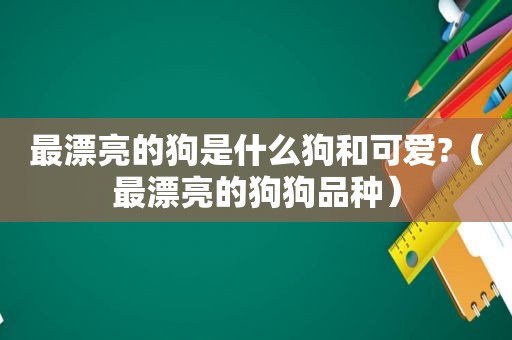 最漂亮的狗是什么狗和可爱?（最漂亮的狗狗品种）