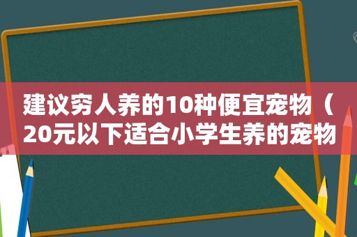 建议穷人养的10种便宜宠物（20元以下适合小学生养的宠物）